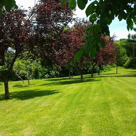 Gospodarstwo agroturystyczne Gioie Di Campagna